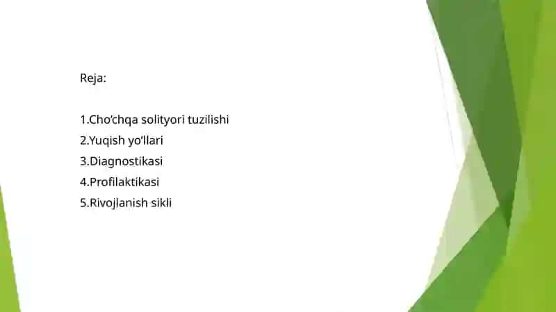 Cho’chqa solityori 2