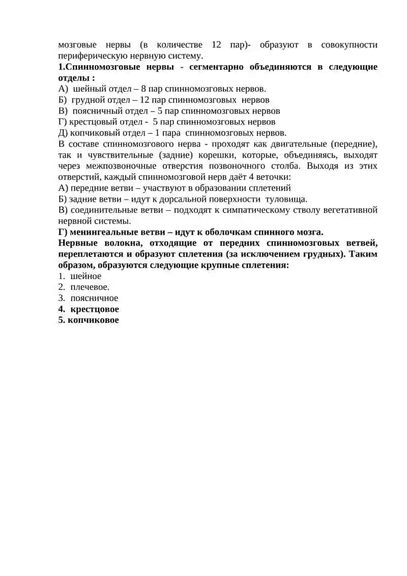 Раздел «Нервная система» 2
