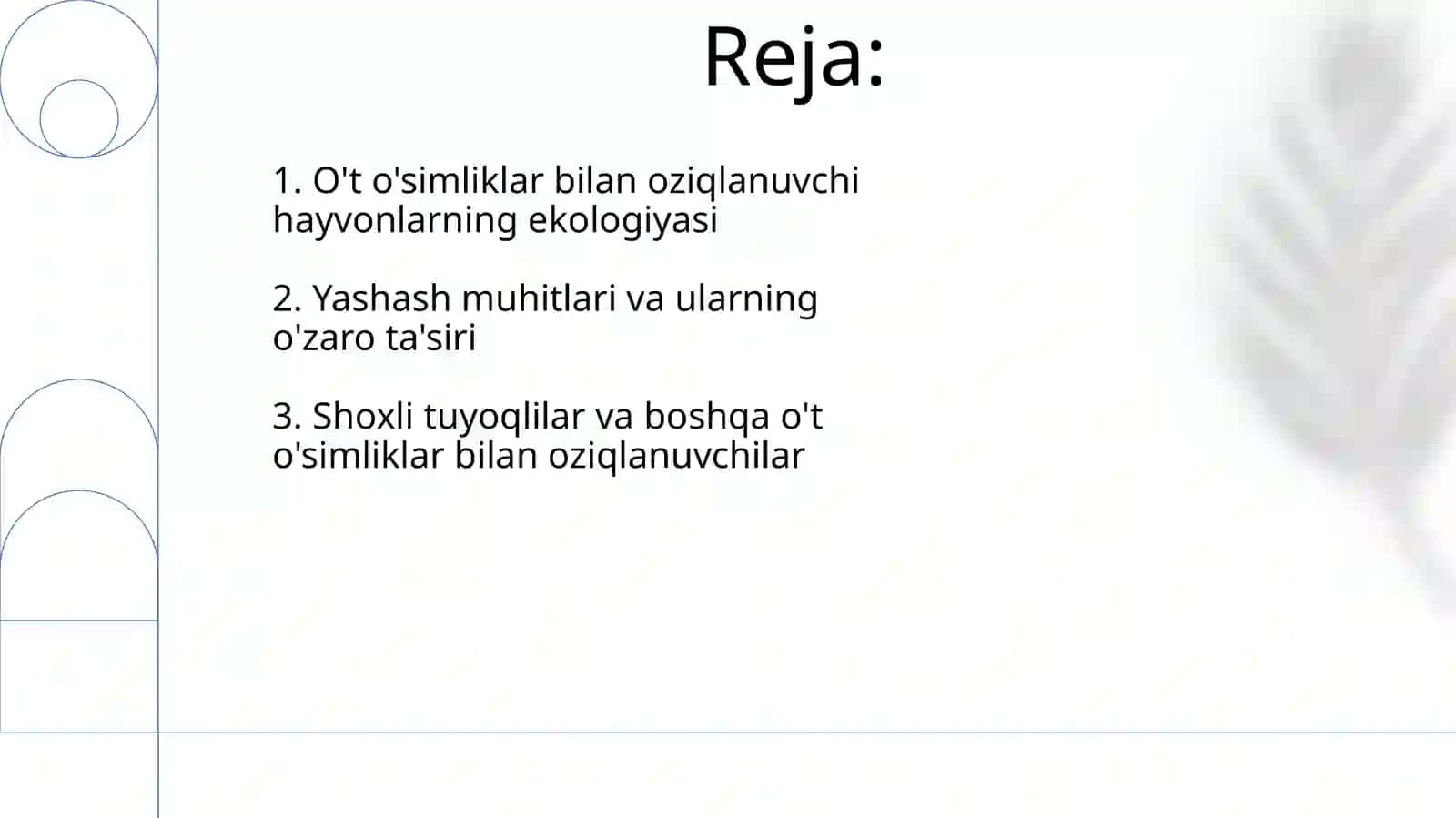 Sutemizuvchi hayvonlar ekologiyasi 2