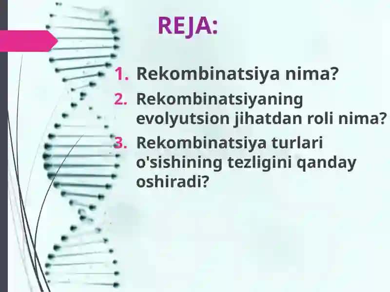 Rekombinatsiyaning evolyutsion ro`li. 2