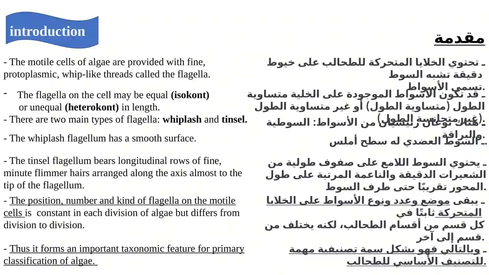 Algal flagella(Part one) 2