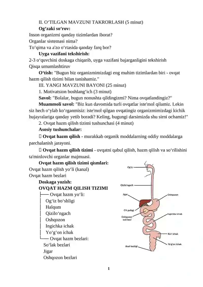 Ovqat hazm qilish tizimi 2