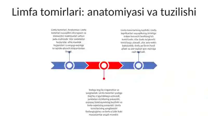 Limfa tomirlari: anatomiyasi va tuzilishi 2