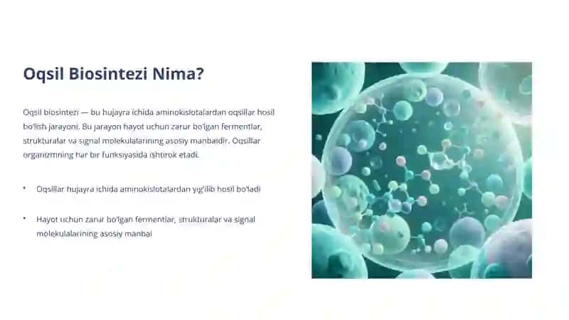 Oqsil Biosintezi: Hayotning Asosiy Jarayoni 2