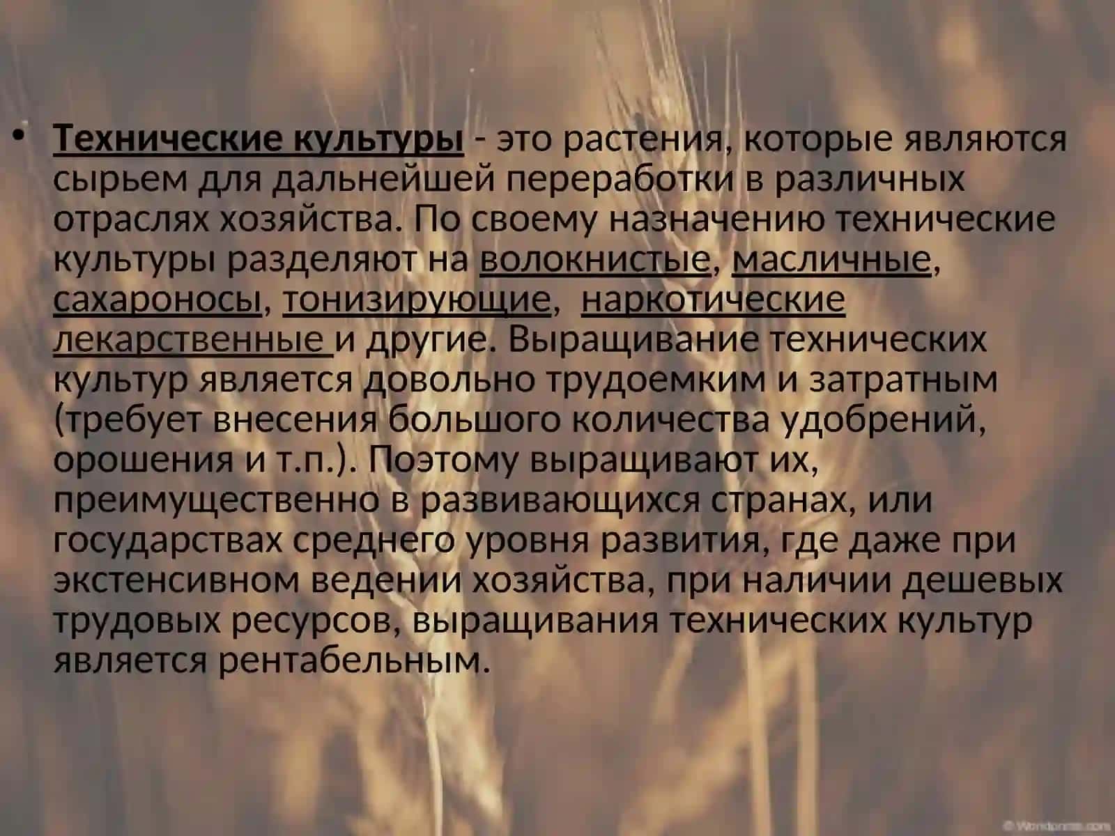 Технические культуры 2