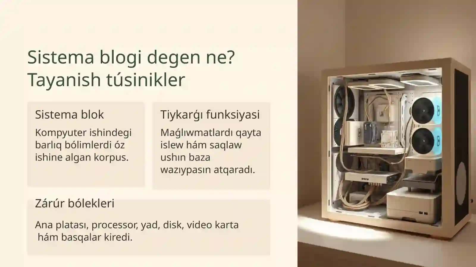 SISTEMA BLOKINIŇ BOLIMLERI MENEN TANSIW 2