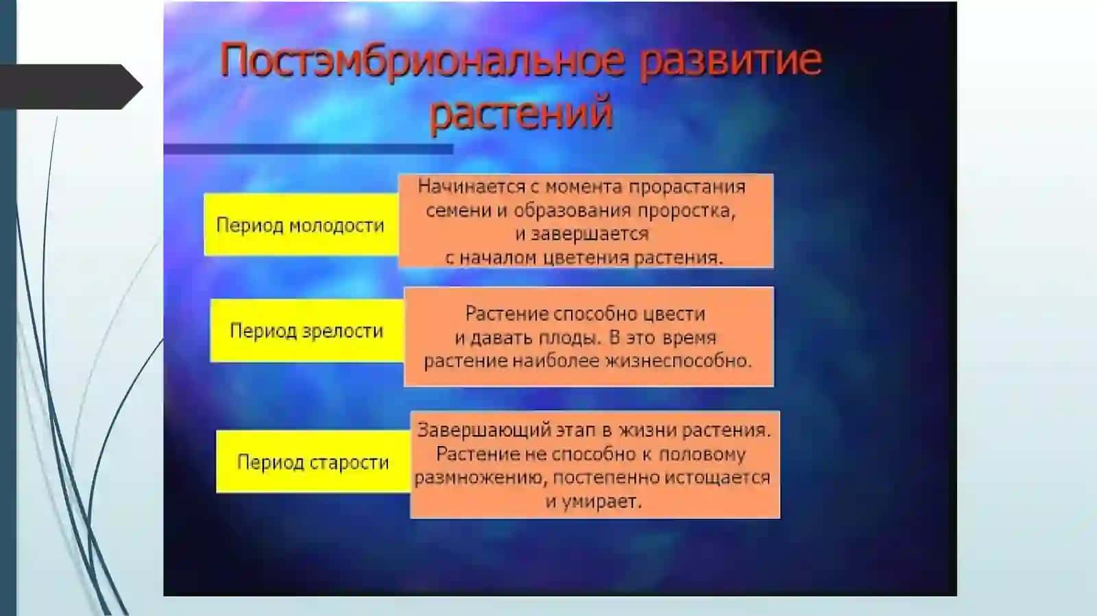 ПОСТЭМБРИОНАЛЬНОЕ РАЗВИТИЕ НАСЕКОМЫХ 2