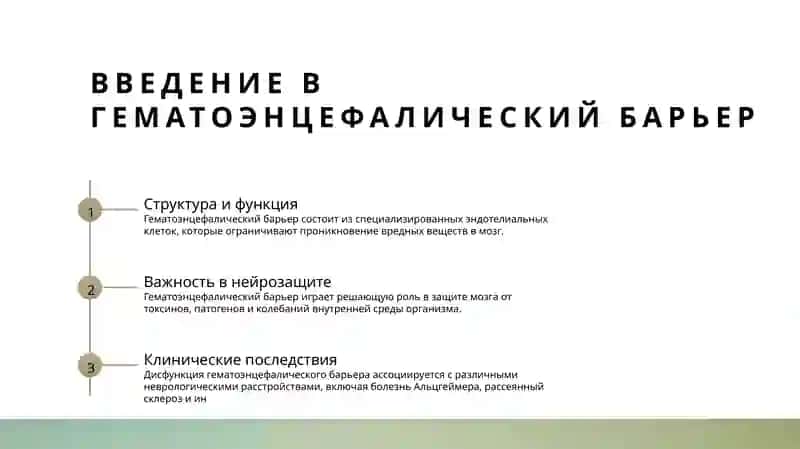 гитофизиология гематоэнцефалического барьера 2