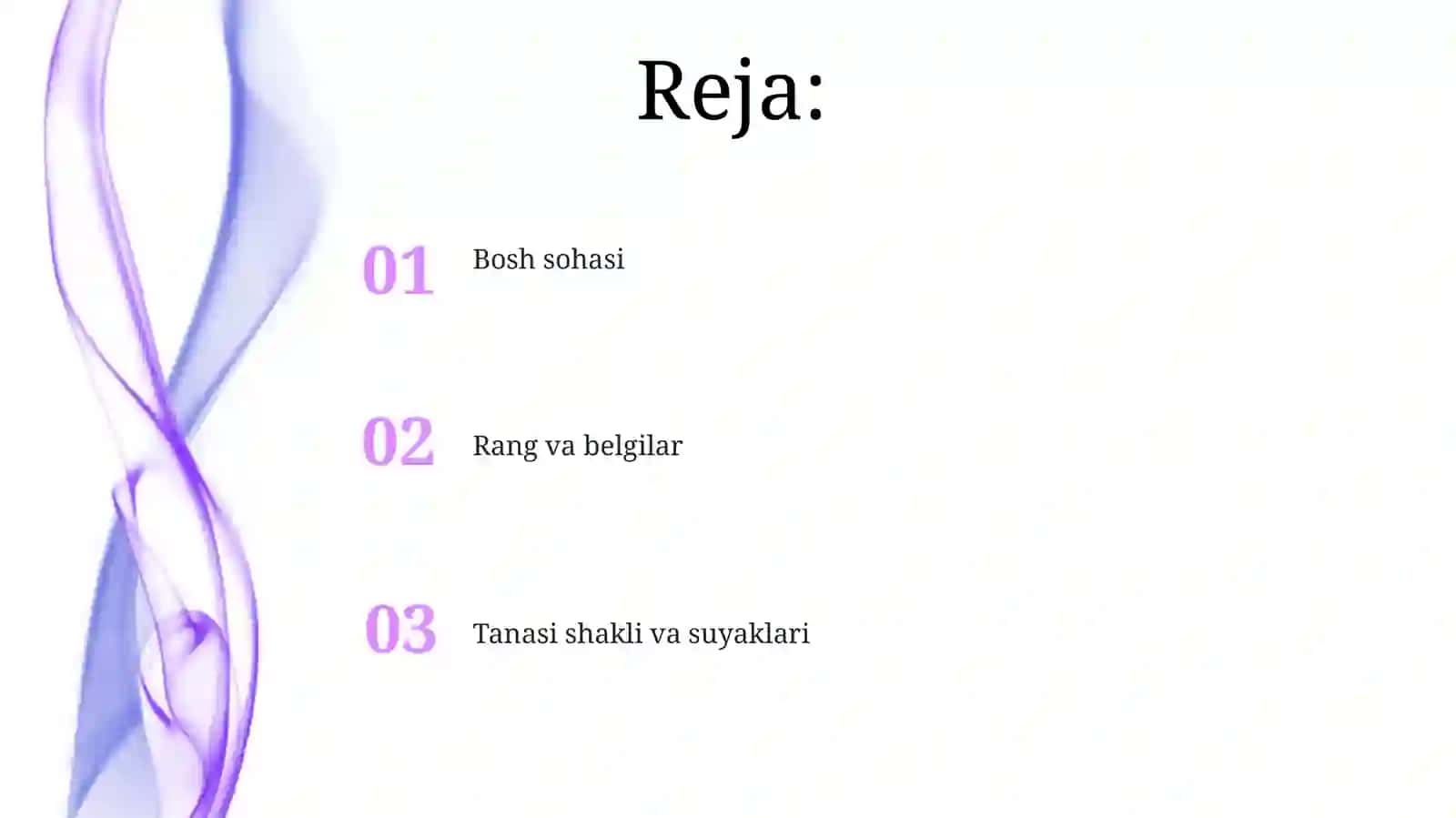 suyaklibaliqlarnitashqituzulishi 2