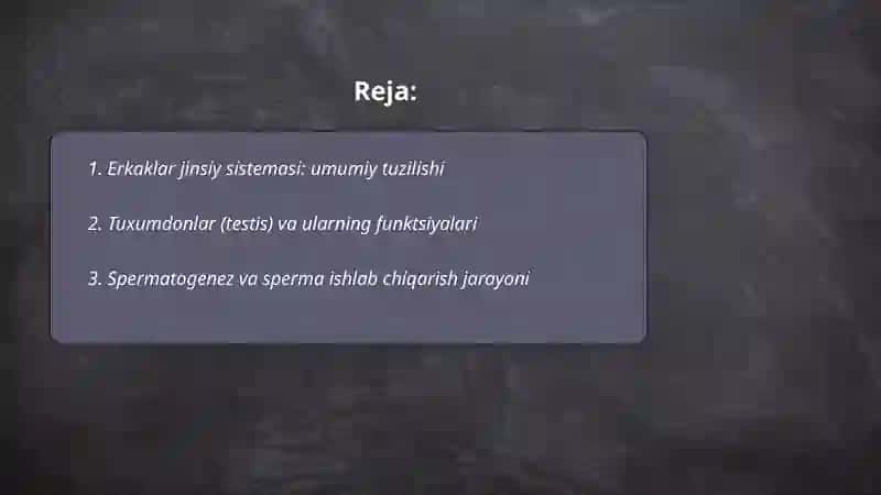 Erkaklar jinsiy sistemasi 2