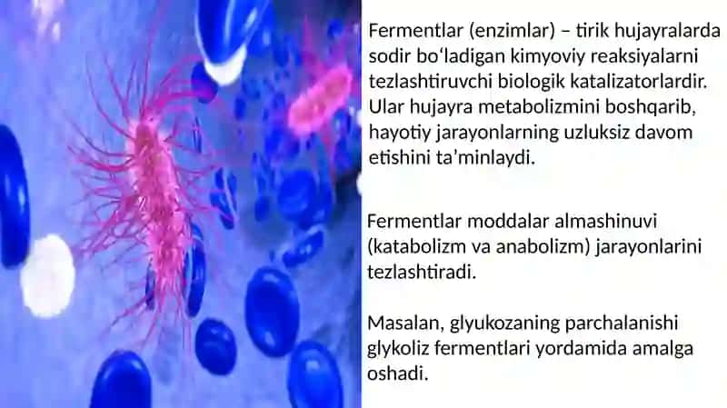 Mikroorganizmlarda ferment sintezi 2