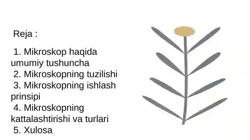 Mikroskop tuzilishi va uning kattalashtirishi 2