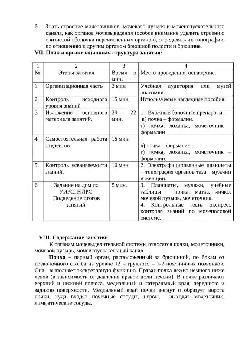 Органы мочевыделительная система 2