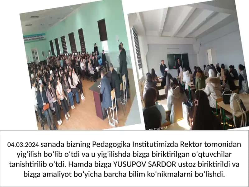 Pedagogika Taqdimoti 2