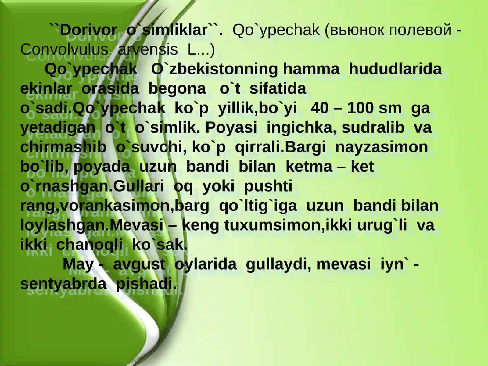 Dorivor o`simliklar 2