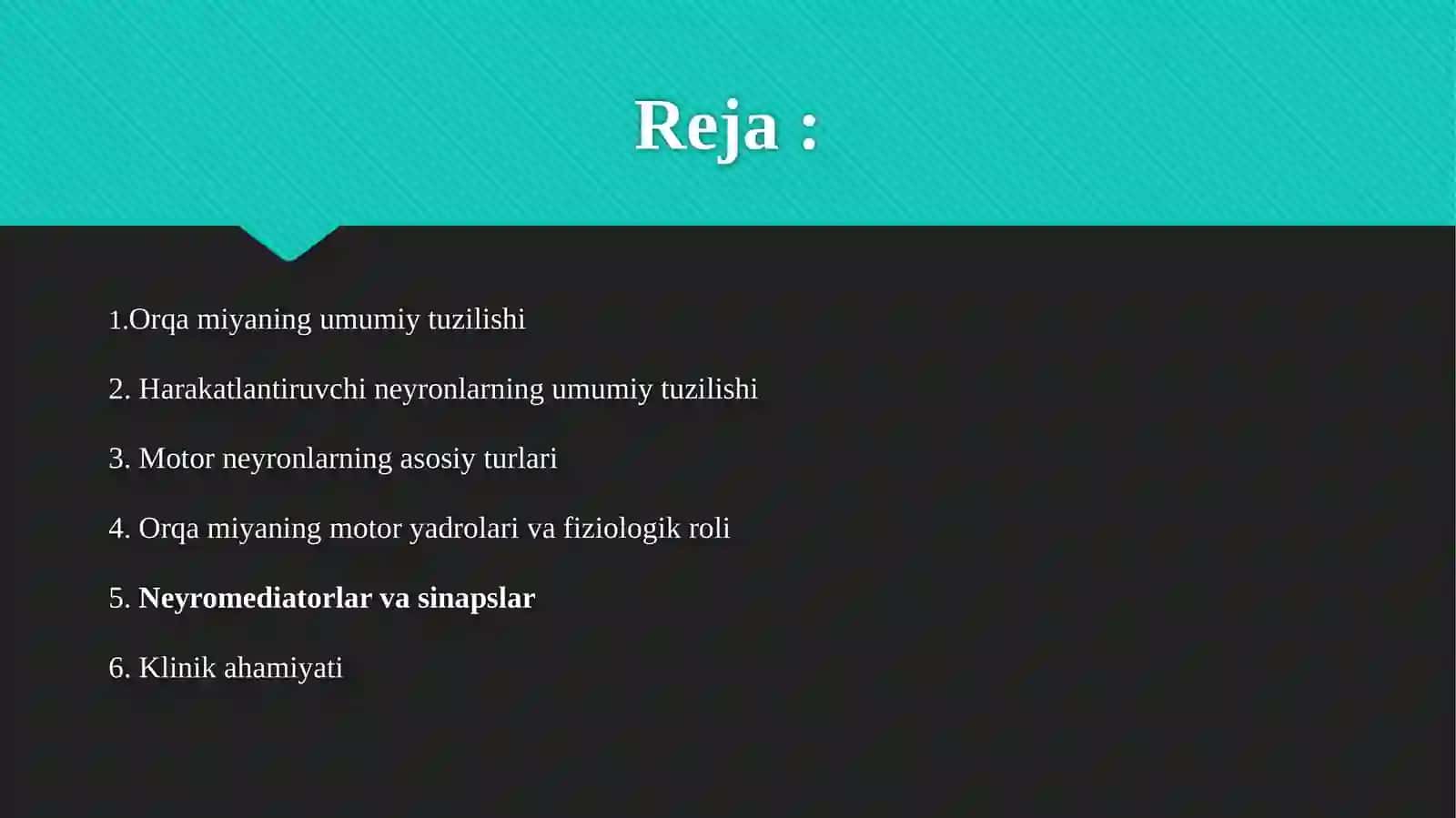 Orqa Miyaning Harakatlantiruvchi Neyronlari 2