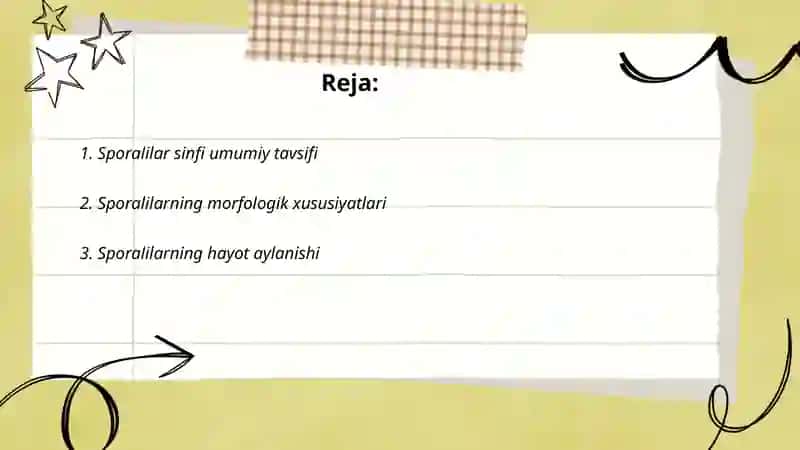 Sporalilar sinfi vakillari 2