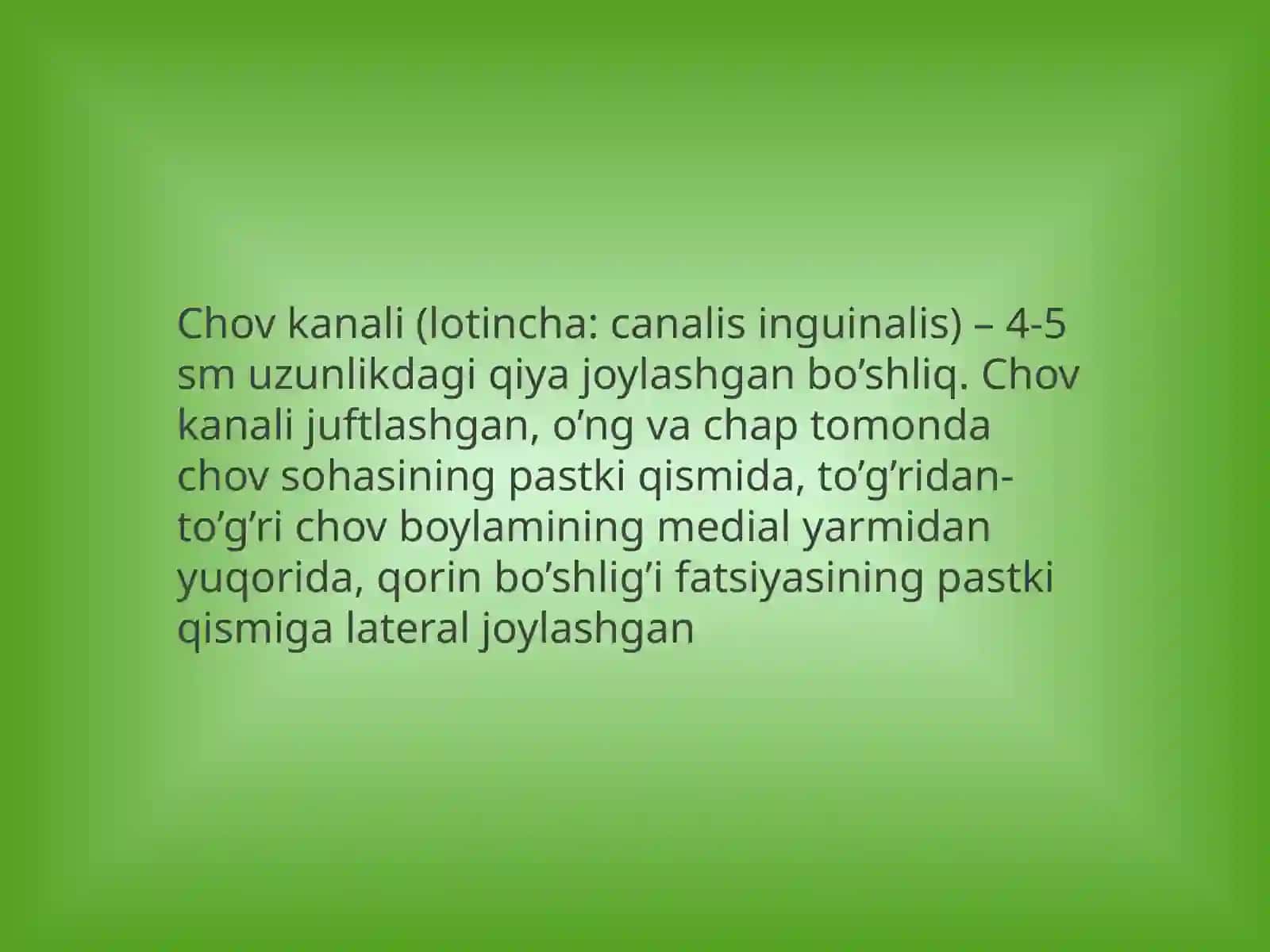 Chov kanali (lotincha:canalisinguinalis) 2