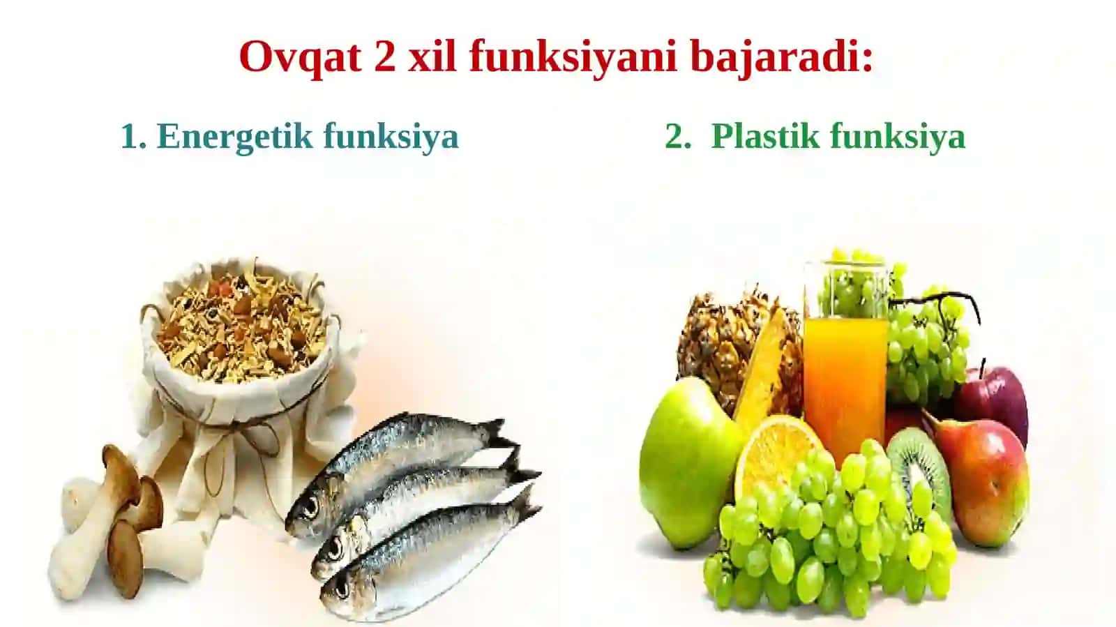 Birkechakunduzgiovqatratsioninituzish 2