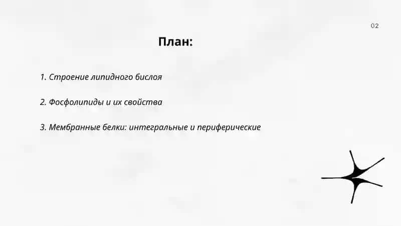 Клеточная мембрана 2