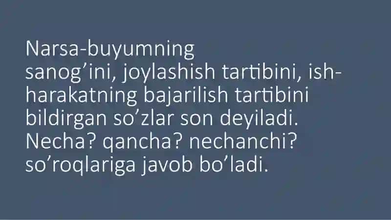 Son so’z turkumi. Sonning mano turlari 2