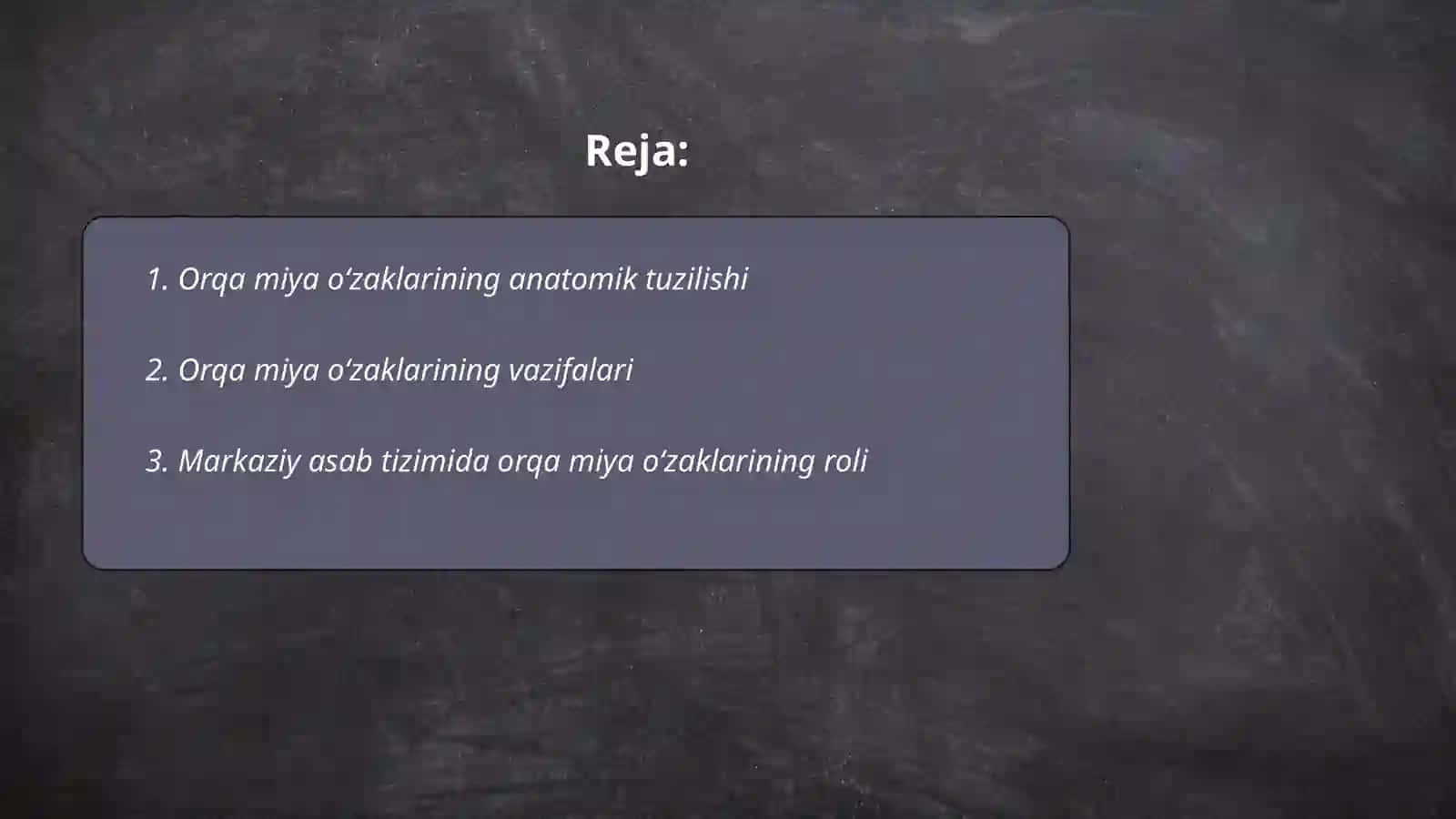 Orqa miya oʻzaklarining anatomik tuzilishi 2
