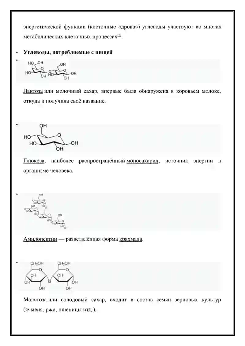 Углеводы. Структура и функции 2