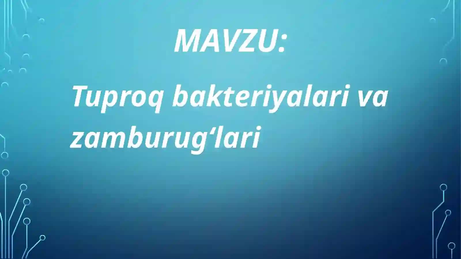 Tuproq bakteriyalari vazamburugʻlari 2