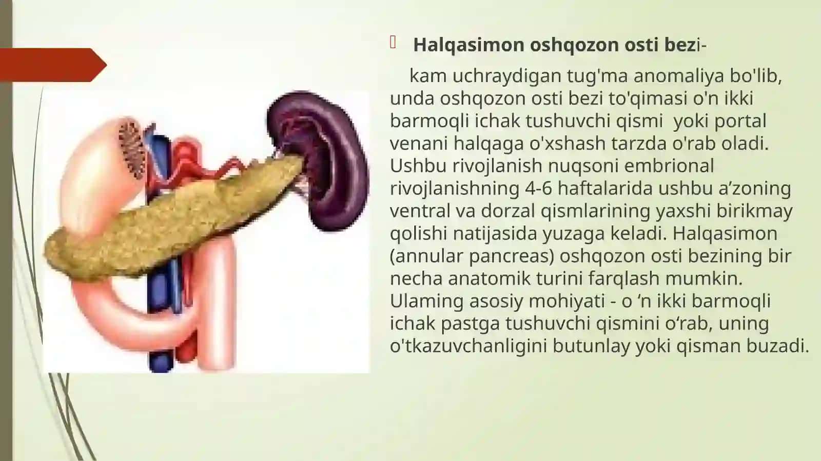 Halqasimon oshqozon osti bezi 2