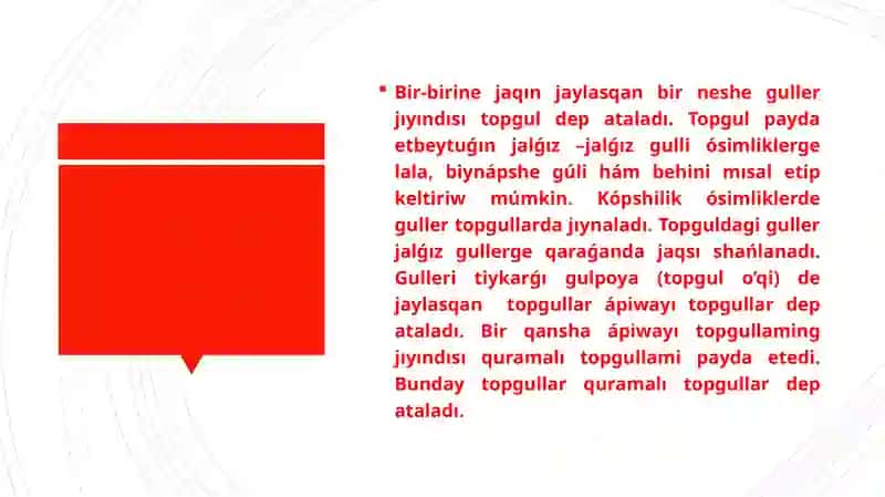 Apıwayı hâm quramalı topguller 2