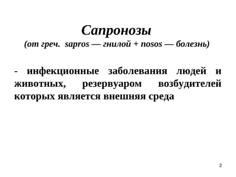 Эпидемиология и профилактика сапронозов 2