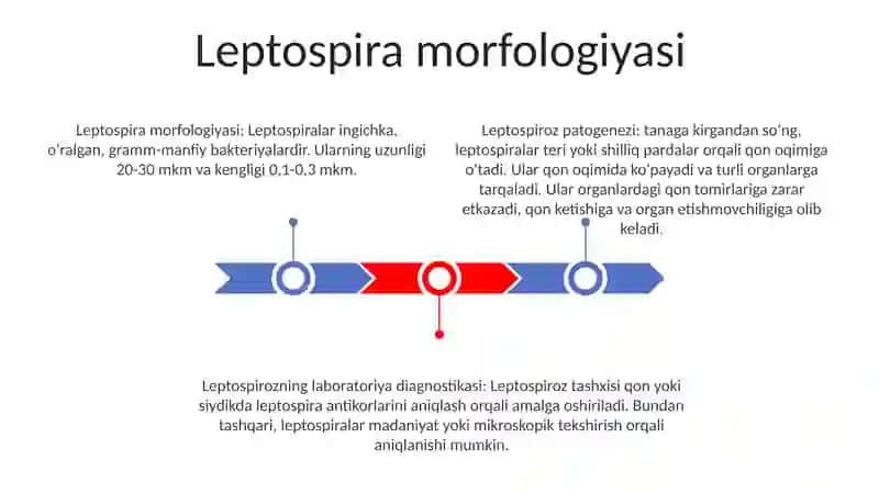 Gemorragik Isitma Qo'Zg'Atuvchilari Patogenezi, Labaratoriya Tashxisi 2