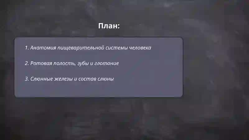 Inson hazm qilish sistemasi 2