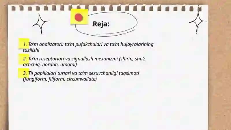 Taʼm bilish va hid bilish analizatorlari 2