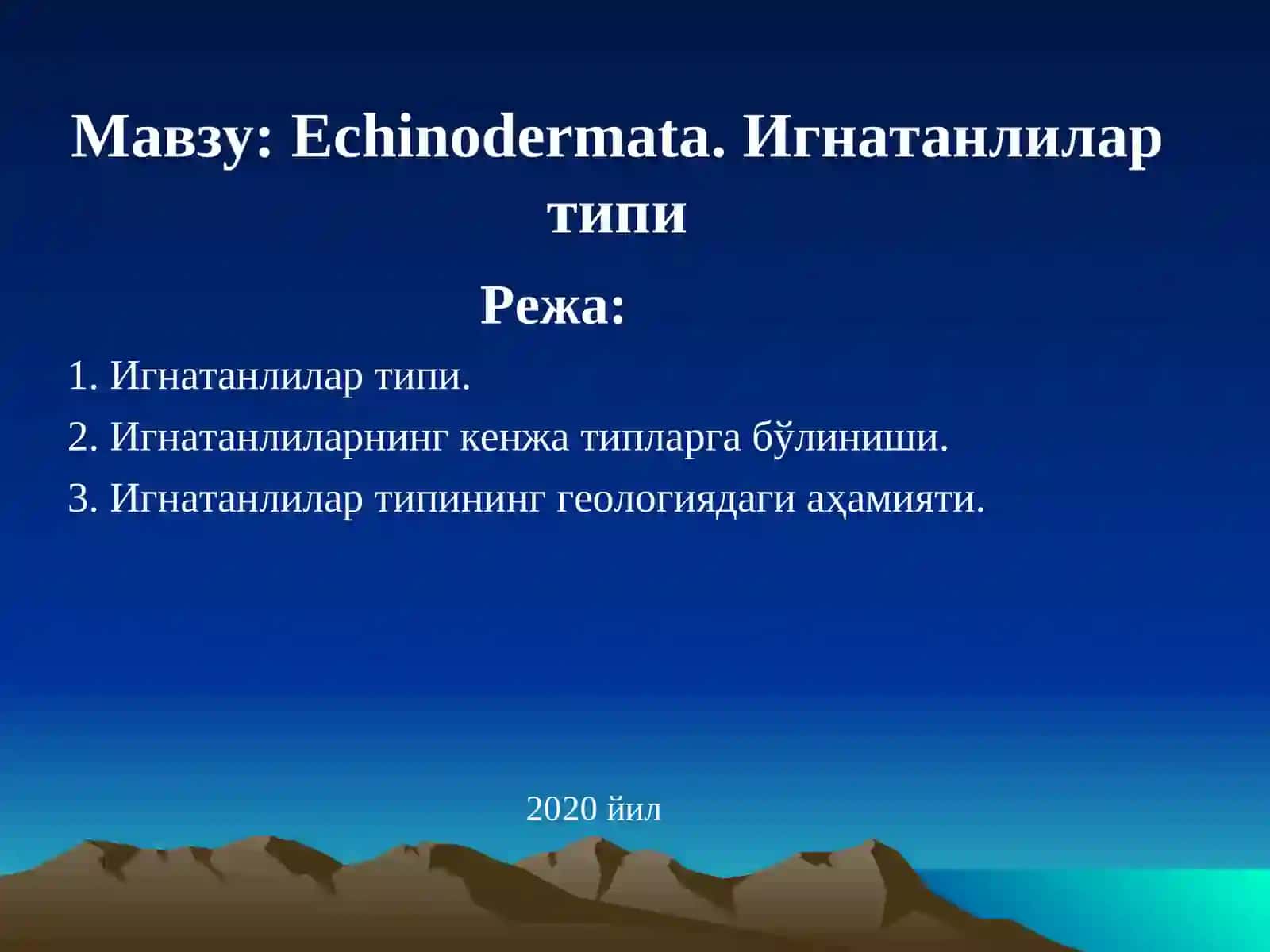 Echinodermata. Игнатанлилар типи 2