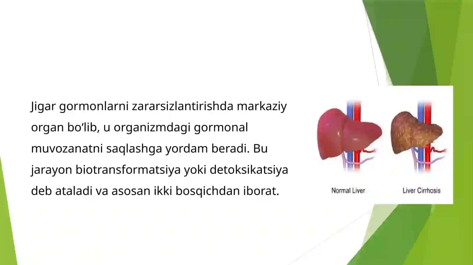 Jigardagormonlar zararsizlantirishi 2