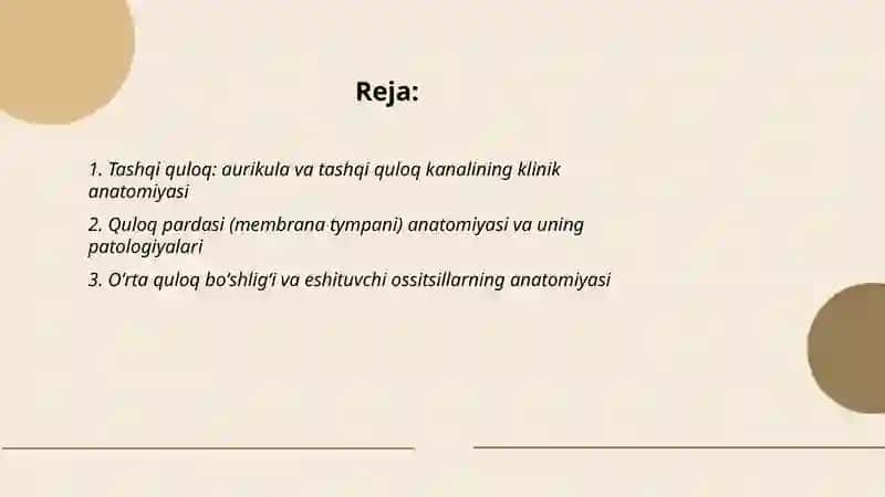 Quloqning klinik anatomiyasi 2