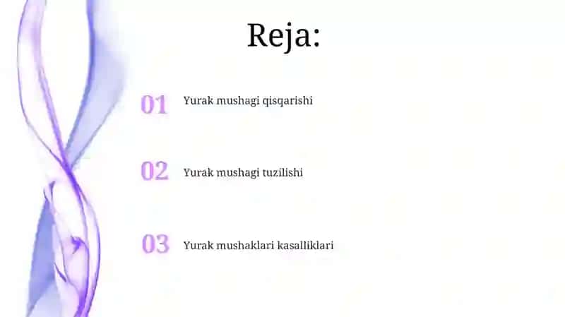 Yurak muskuli 2