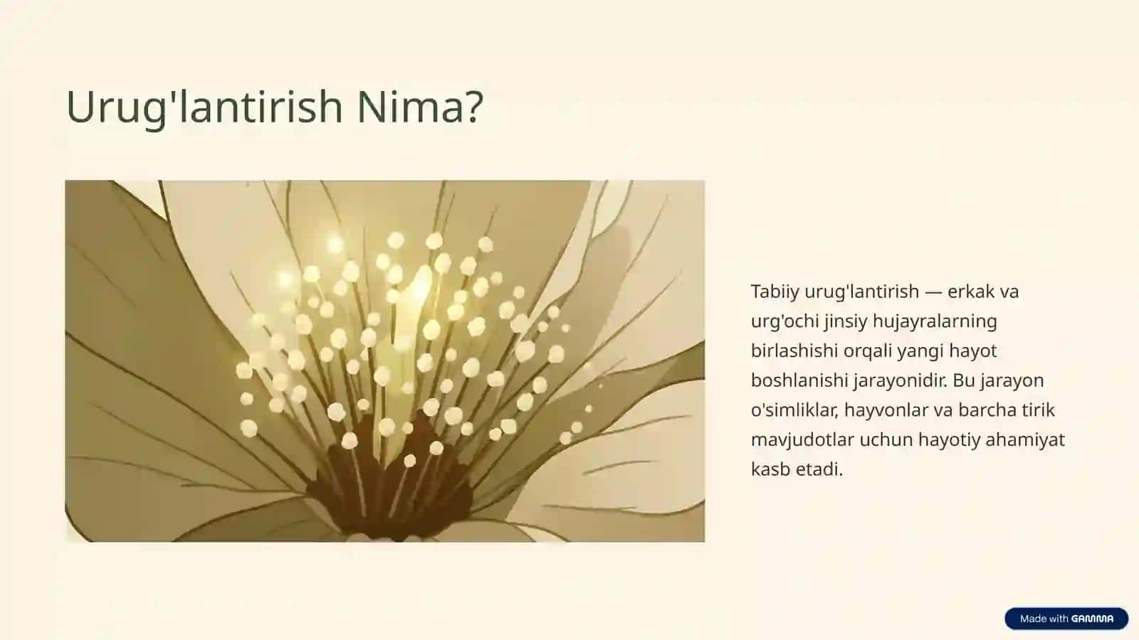 Tabiiy Urug'lantirish Jarayoni 2