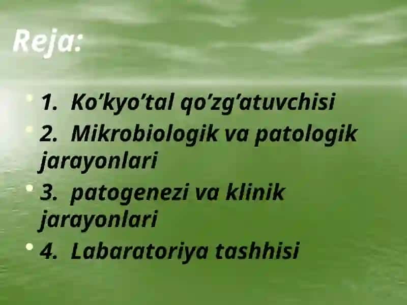Ko’kyo’tal Qo’zg’atuvchisi Tashhisi Usullari 2