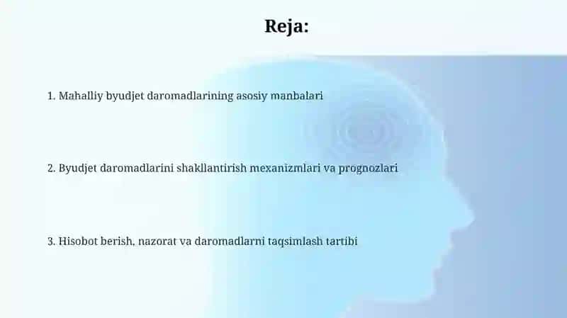 Mahalliy budjet shakllanish manbalari 2