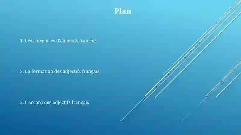 L’adjectivation des mots français 2
