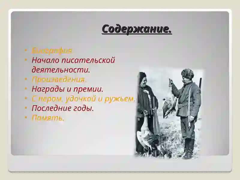 Михаил Шолохов. Жизнь и творчество 2