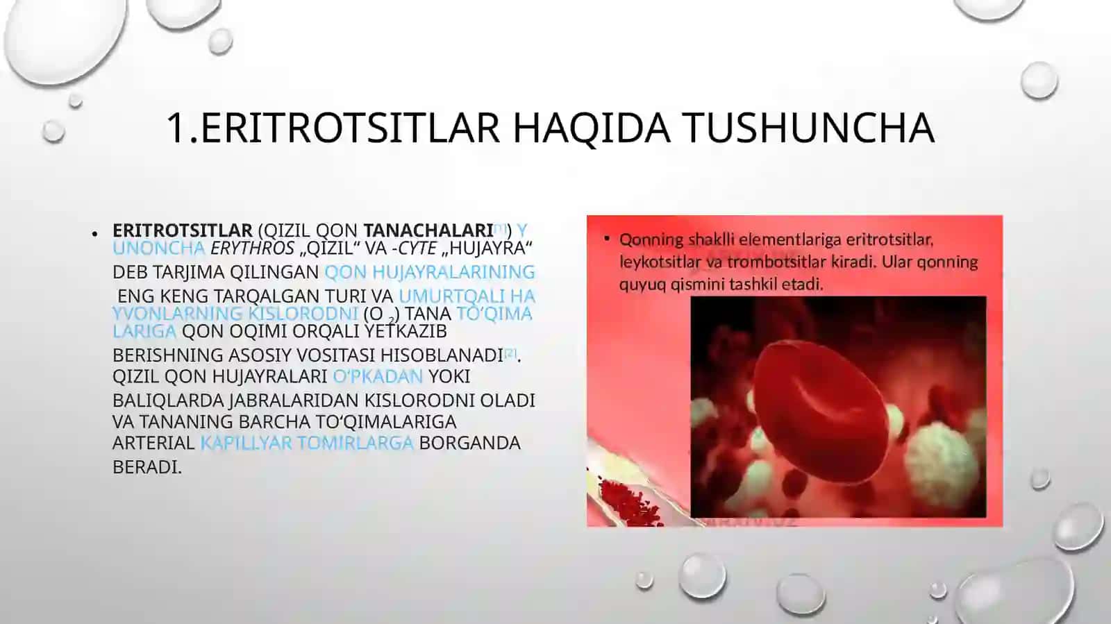 Eritrotsitlar fiziologiyasi va Gemoglabin 2