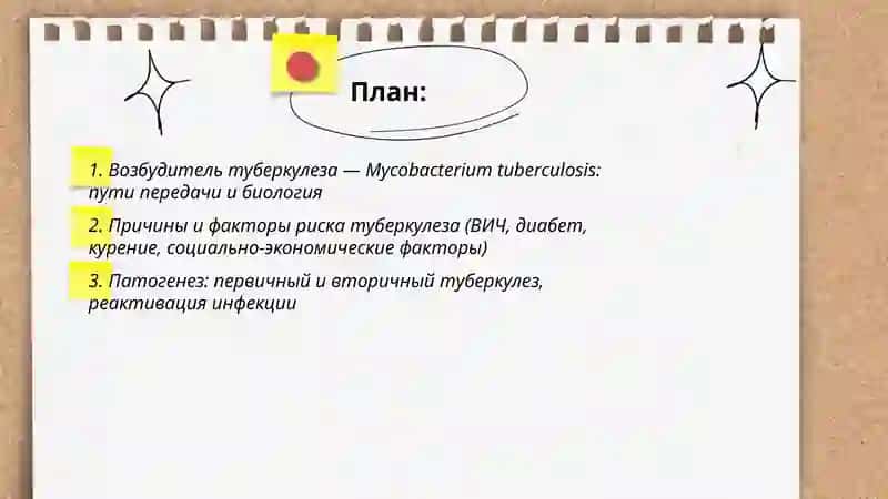 Патогенез туберкулеза 2