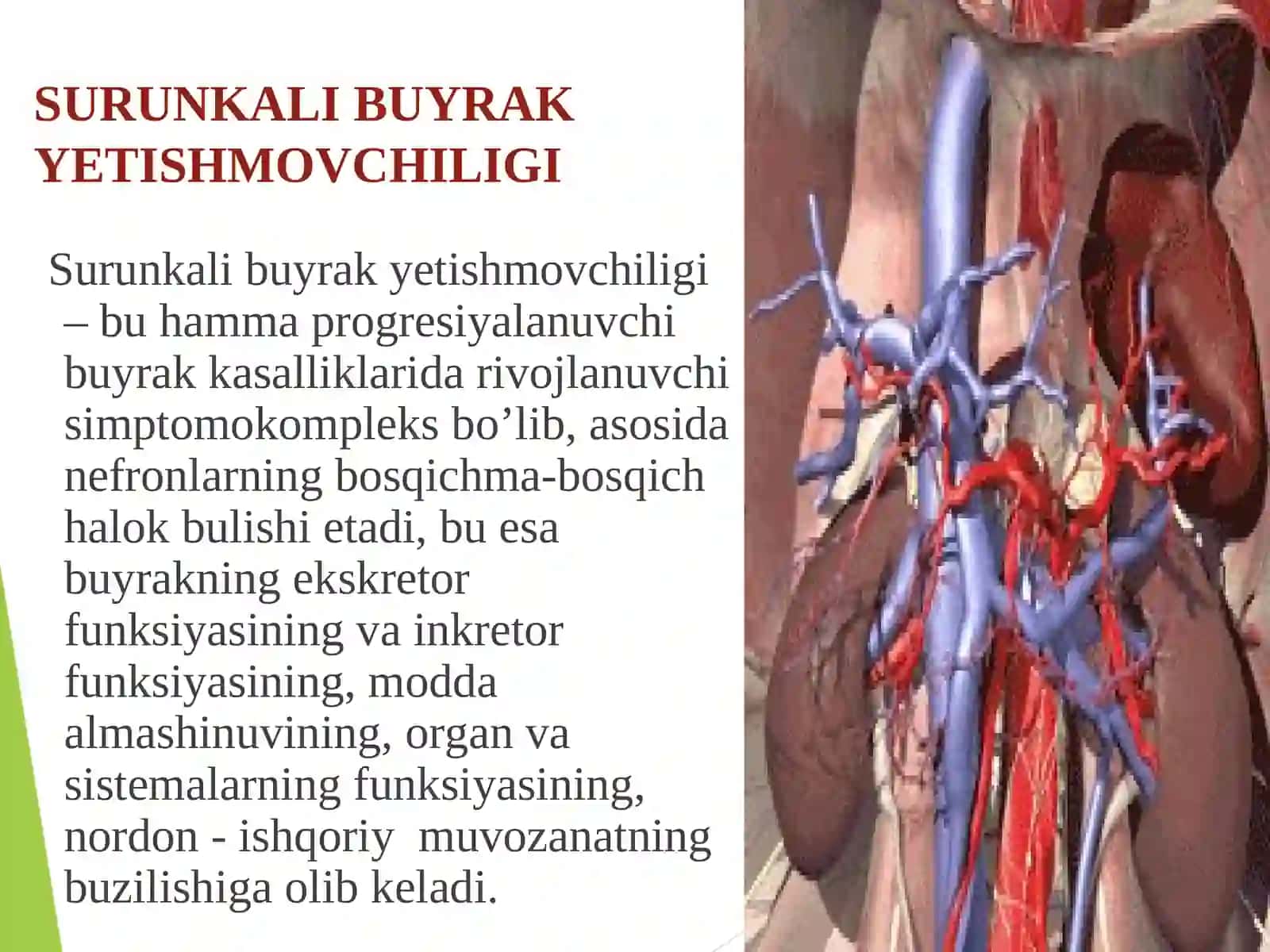 SURUNKALI BUYRAKYETISHMOVCHILIGI 2