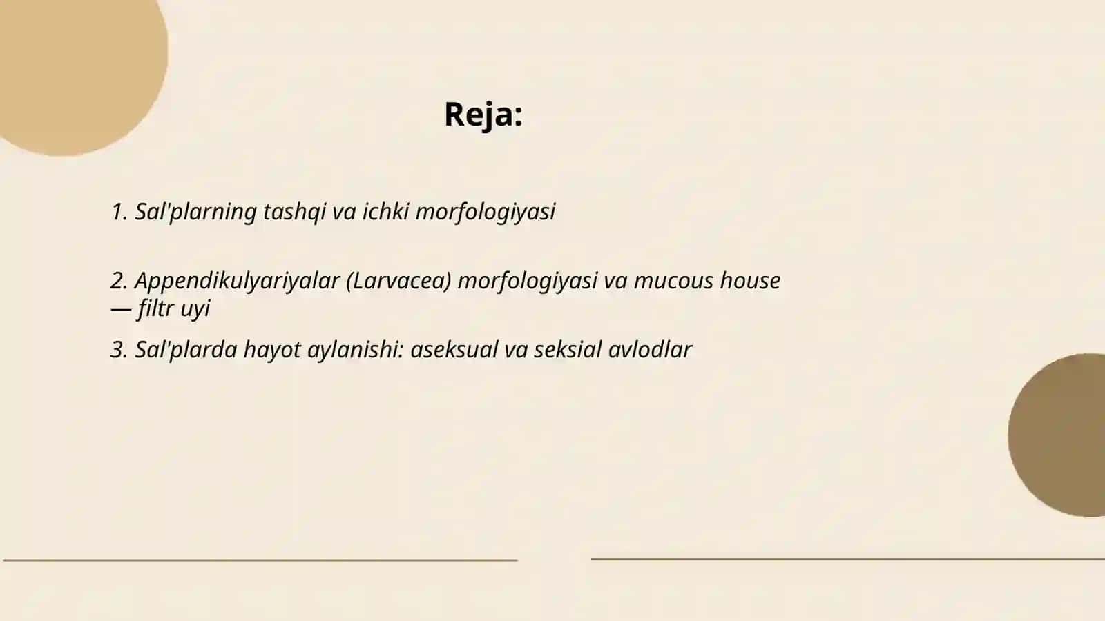 Sal'plar va appendikulyariyalar sinfi 2
