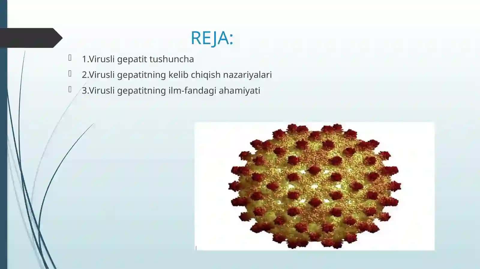 VIRUSLI GEPATIT 2