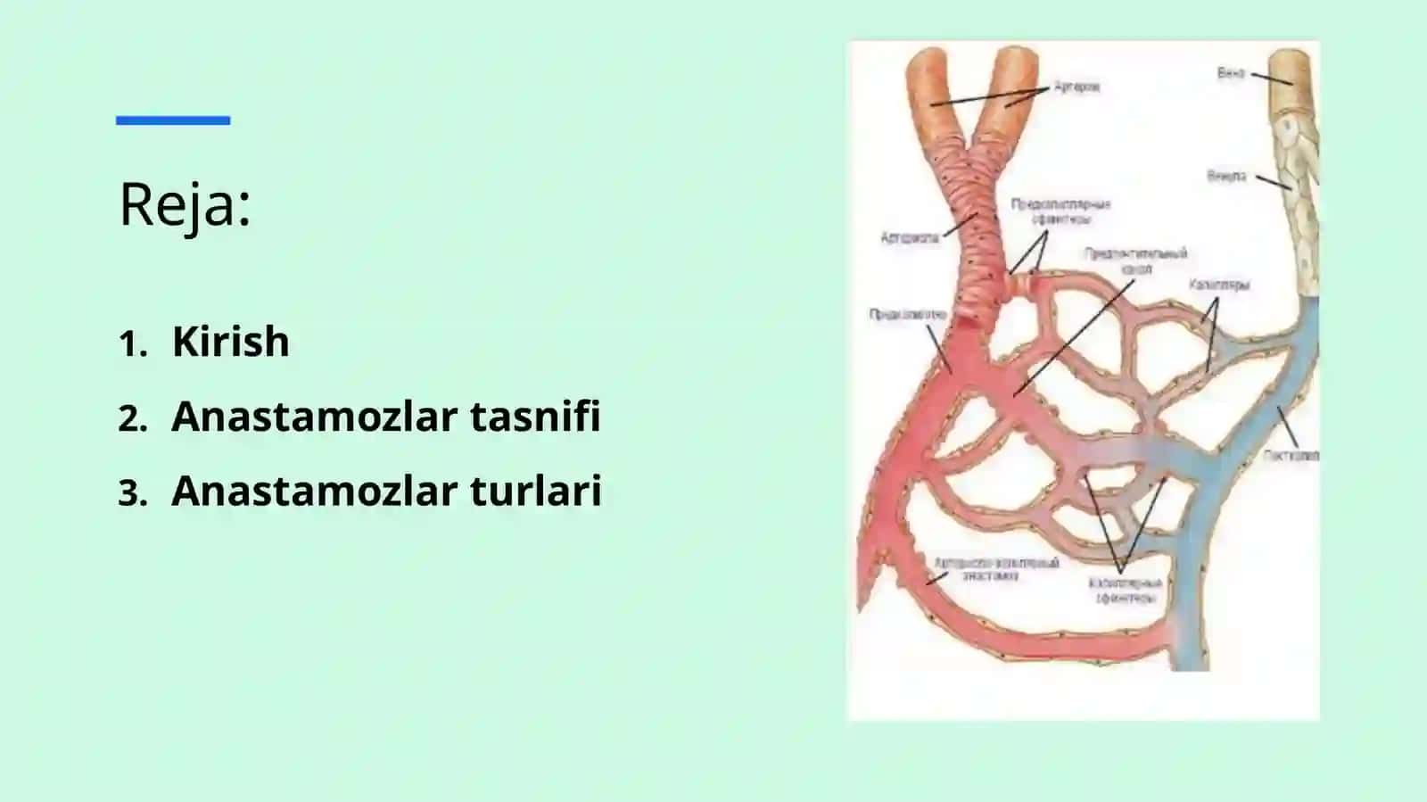 anastamozlar 2
