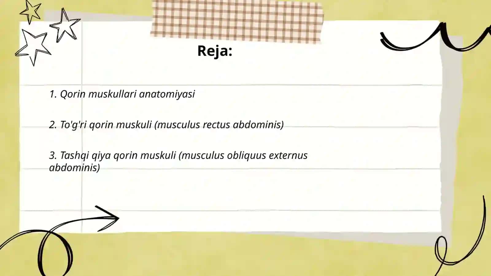 Qorinning yon devori muskullari va fassiyalari 2